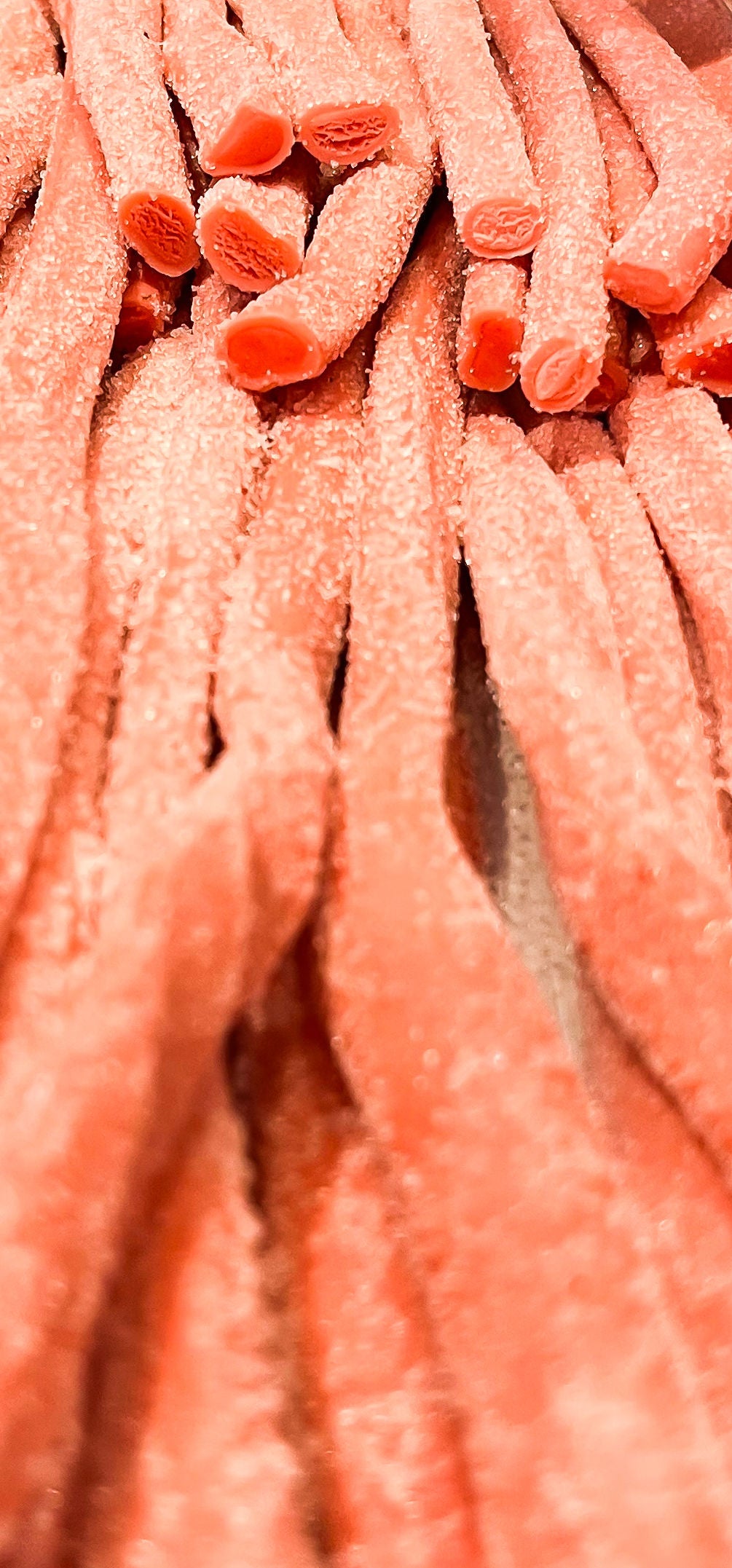 Sour Bubblegum